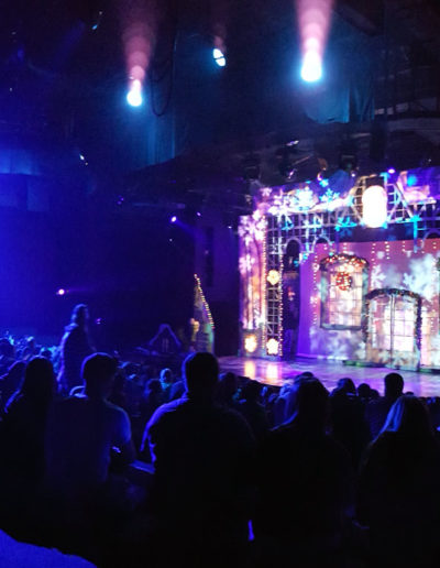 Crowd waiting Southern Palace Holiday show to begin