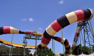 La Vibora first drop