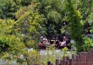 Roaring Rapids ride scenery