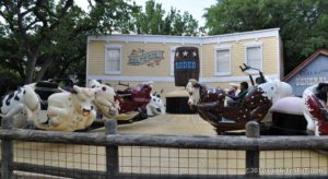 Rodeo ride