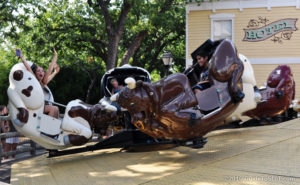 Rodeo ride