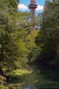 Six Flags over Texas nature