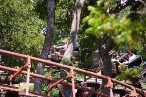 Mine Train foliage