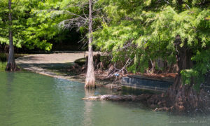 Mine Train underwater tunnel