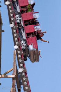New Texas Giant first drop closeup