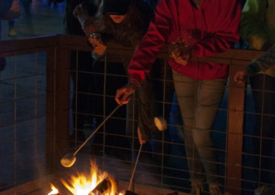 Guest roasting s'mores over campfire