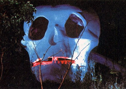 Grinning Skull Mysterious Skull Rock Six Flags Over Texas Postcard 
