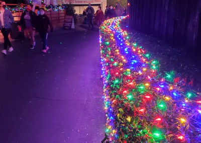 Holiday lights near the Mystic Acres attraction