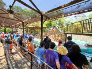 El Aserradero queue line