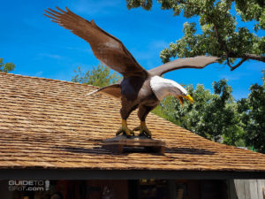 Buffalo Trading Post eagle