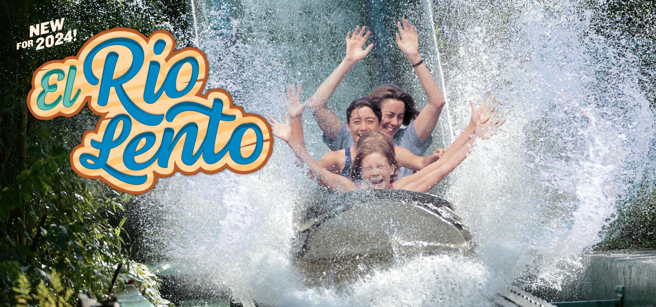 New for 2024: El Rio Lento