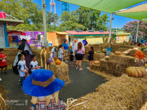 Boo Fest hay maze