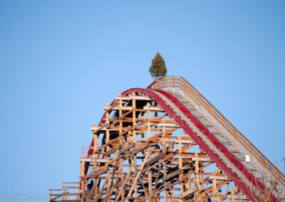 Texas Giant topping-out tree