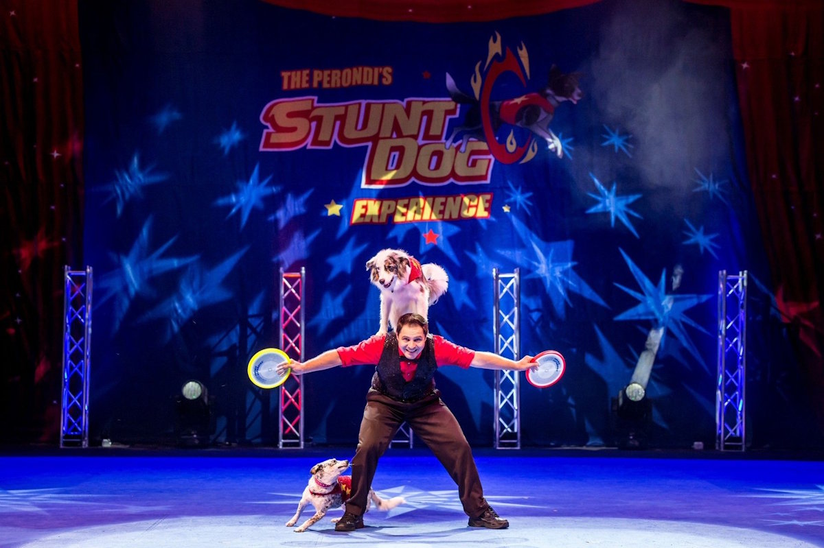 High-Flying Dog Stunt Show Headed to SFOT