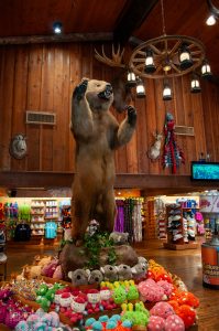 Interior of Buffalo Trading Post shop